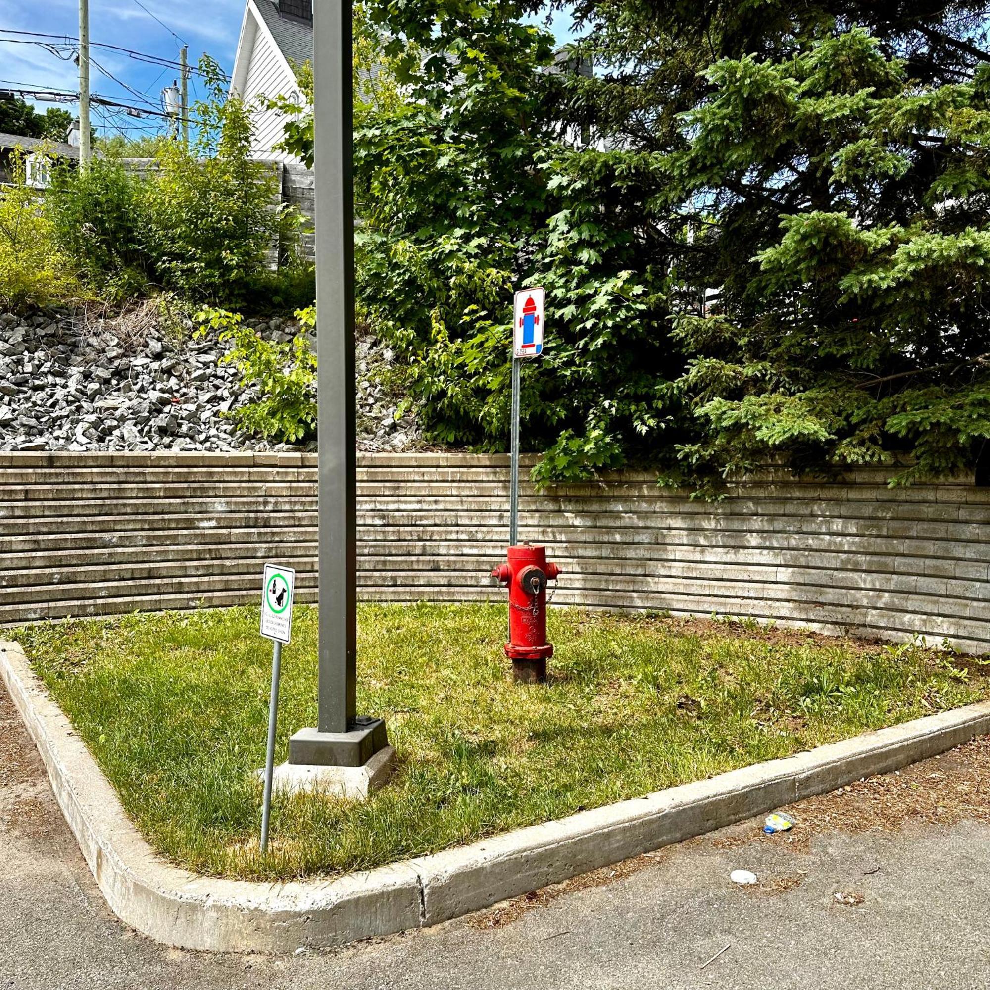 Initial - Explorateur - Chutes-Montmorency Boischatel Экстерьер фото